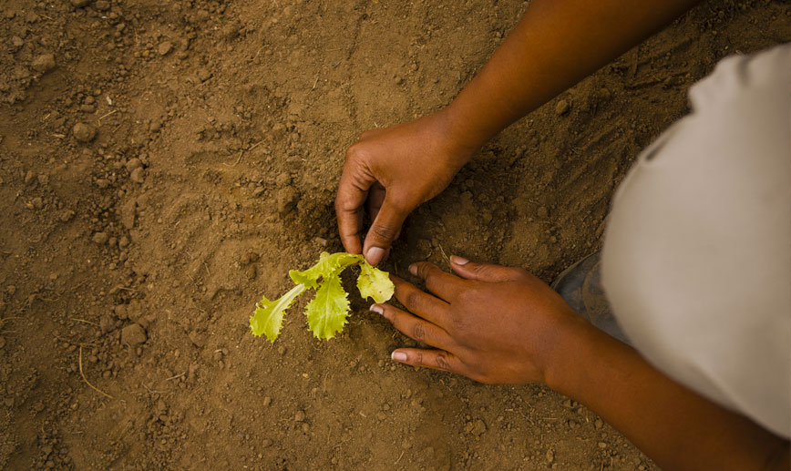 Muvuledzi_home1 https://muvuledzic.co.za/wp-content/uploads/2023/10/Muvuledzi_home1.jpg